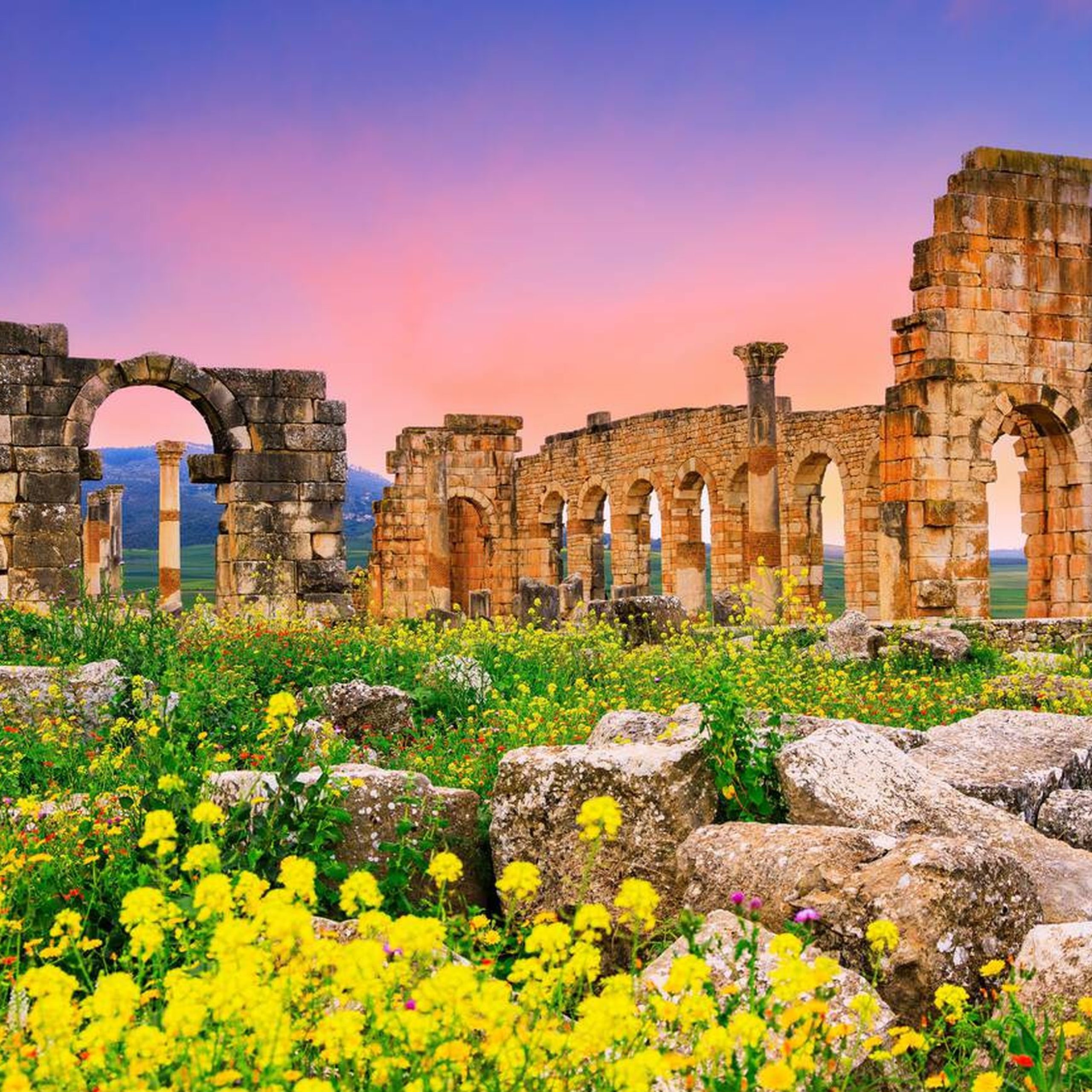 Fès Travel Art & Culture